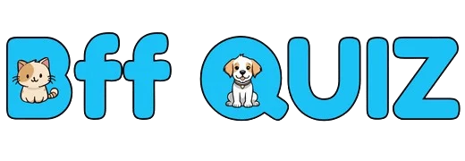 bff quiz