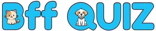 BFF Quzzies
